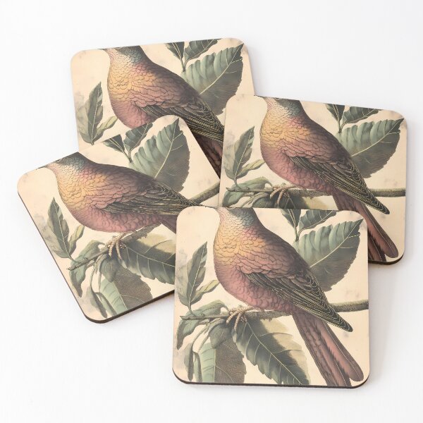 Item preview, Rolinha-Roxa — Ilustração Científica Vintage | Atlantic Forest designed and sold by AtlanticForest.