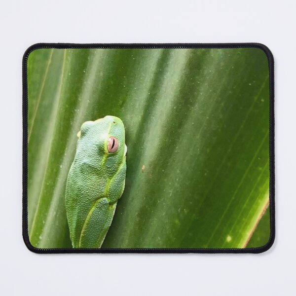 Item preview, Dainty Green Tree Frog, designed and sold by photosbymia.