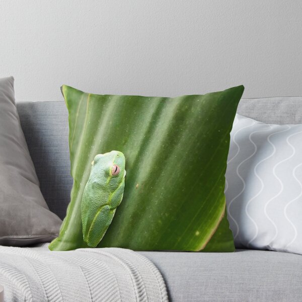 Item preview, Dainty Green Tree Frog, designed and sold by photosbymia.