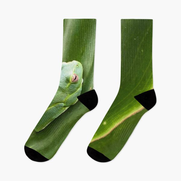 Item preview, Dainty Green Tree Frog, designed and sold by photosbymia.