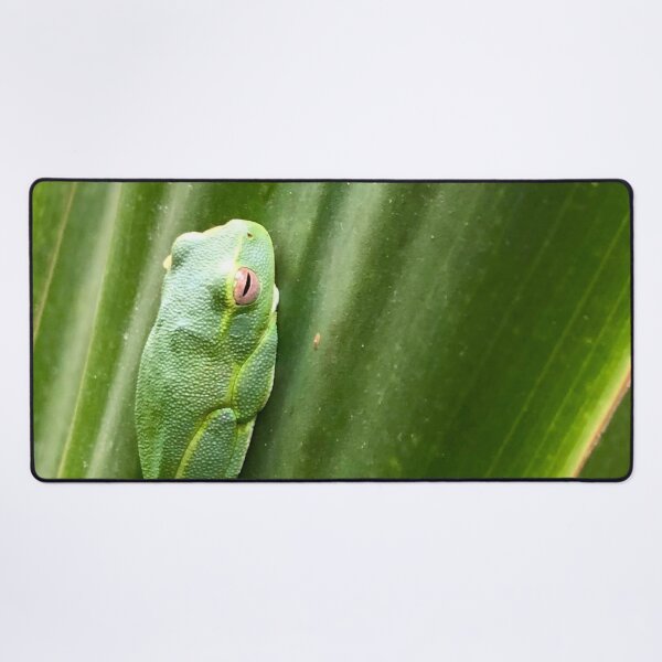Item preview, Dainty Green Tree Frog, designed and sold by photosbymia.