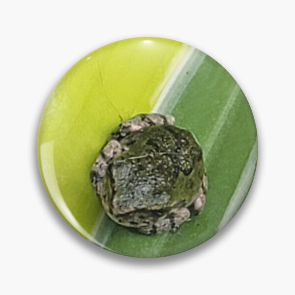 Item preview, Frog designed and sold by Jens01SS.