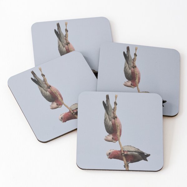 Item preview, Galahs on a branch designed and sold by photosbymia.