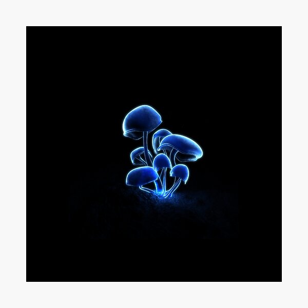 Fluorescence Photographic Print