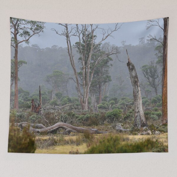 Item preview, Trees in the Rain designed and sold by photosbymia.