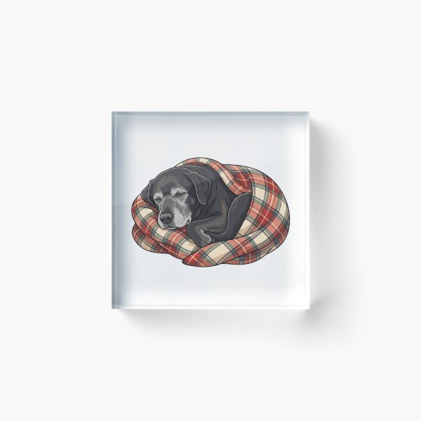 Item preview, Senior Dog Comfort Club Cozy Old Labrador Lover designed and sold by PictoVibe.