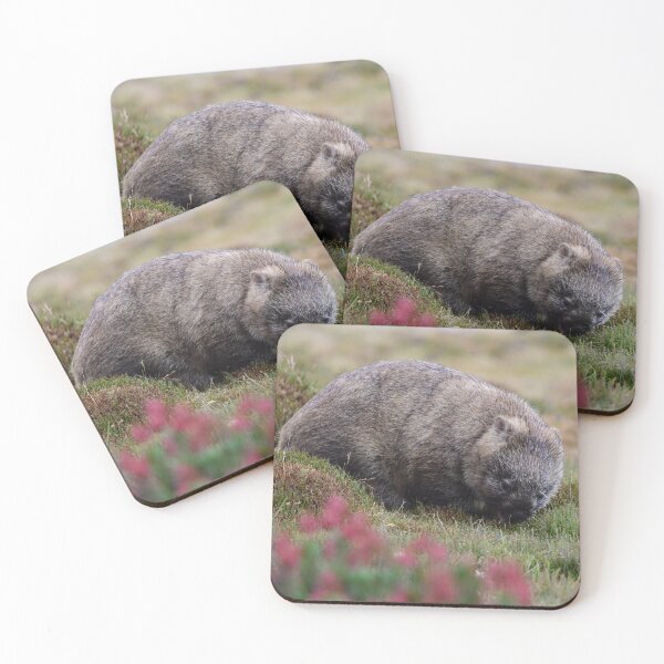 Item preview, Wombat Wombating designed and sold by photosbymia.