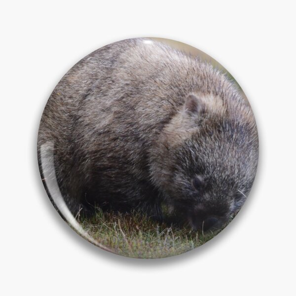 Item preview, Wombat Wombating designed and sold by photosbymia.