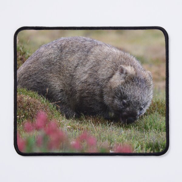 Item preview, Wombat Wombating designed and sold by photosbymia.