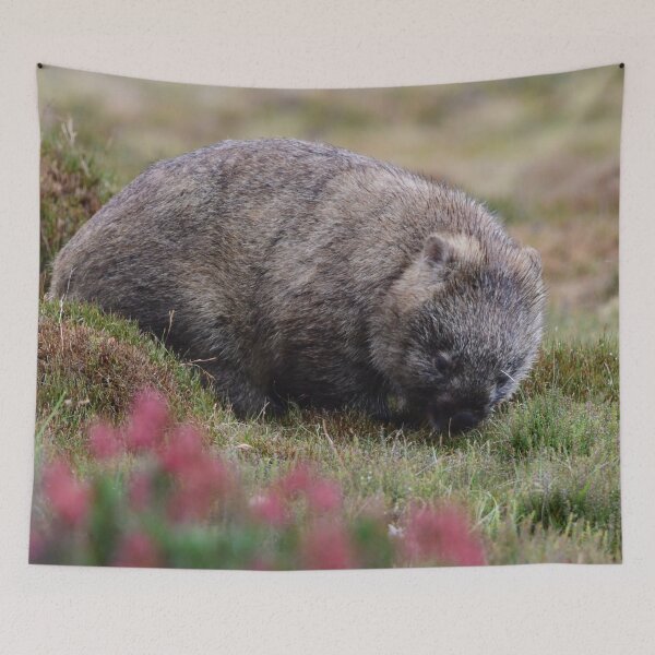 Item preview, Wombat Wombating designed and sold by photosbymia.