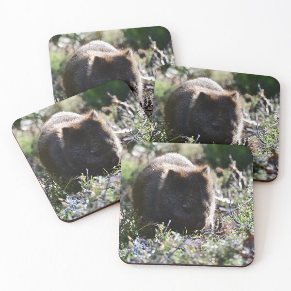 Item preview, Wombat in the Afternoon Light designed and sold by photosbymia.