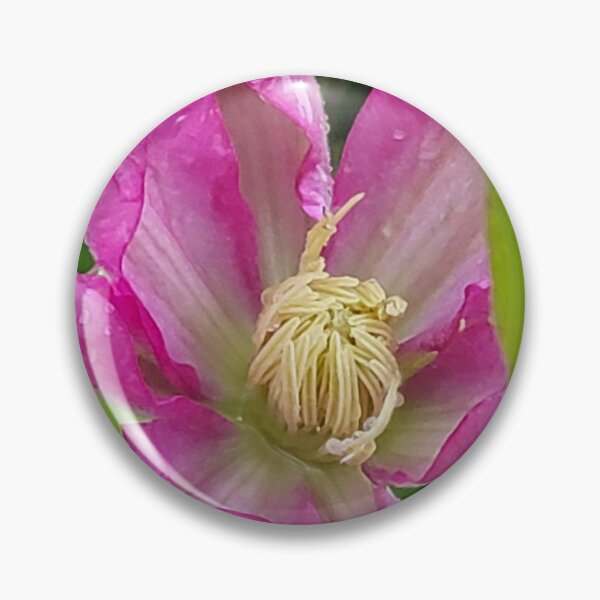 Item preview, Clematis designed and sold by Jens01SS.