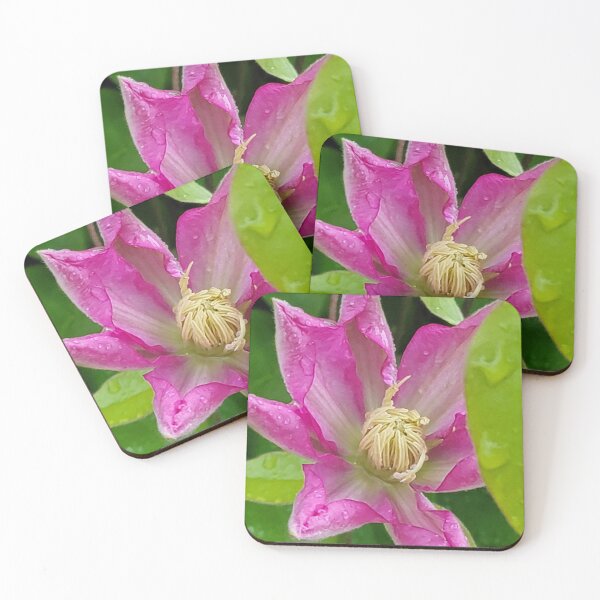 Item preview, Clematis designed and sold by Jens01SS.