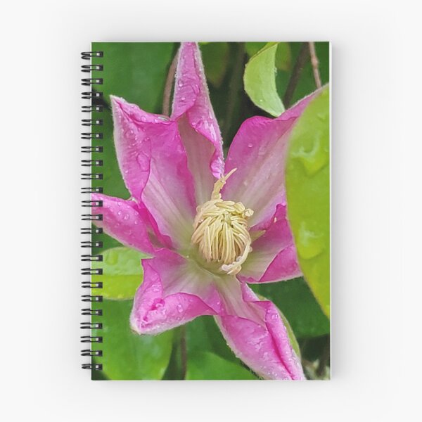 Item preview, Clematis designed and sold by Jens01SS.