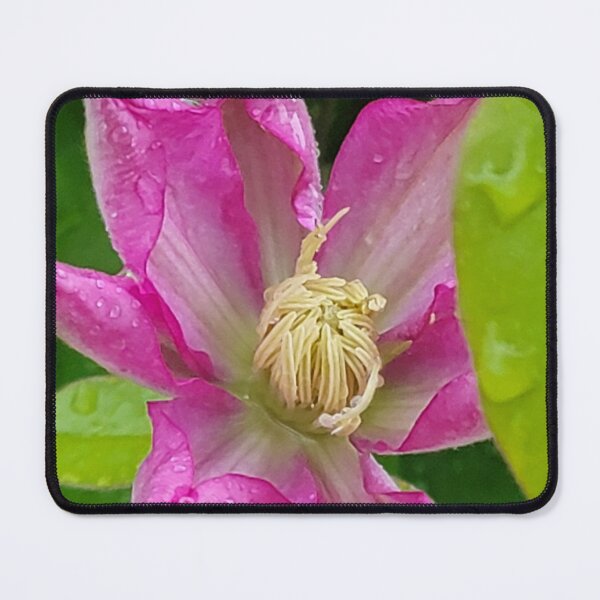 Item preview, Clematis designed and sold by Jens01SS.