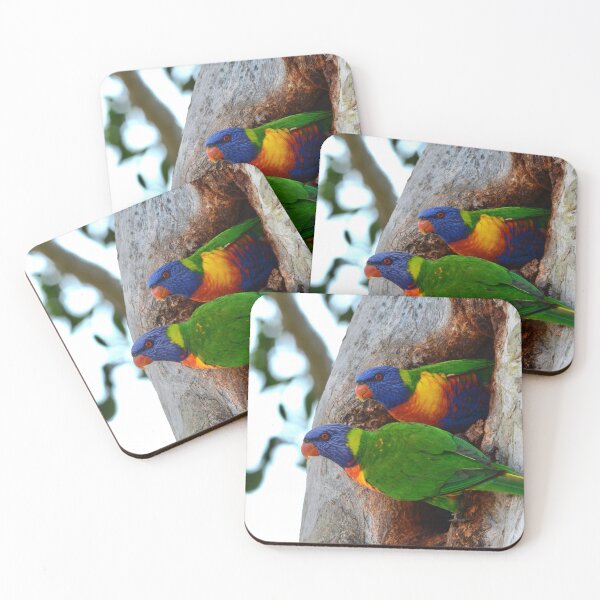 Item preview, Rainbows in a Hole designed and sold by photosbymia.