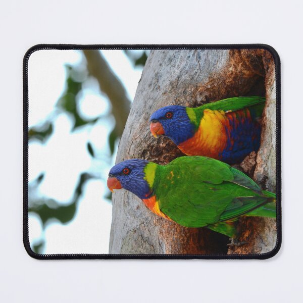 Item preview, Rainbows in a Hole designed and sold by photosbymia.