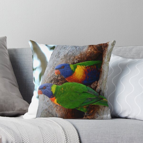 Item preview, Rainbows in a Hole designed and sold by photosbymia.