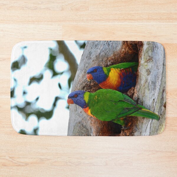 Item preview, Rainbows in a Hole designed and sold by photosbymia.