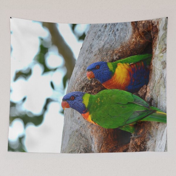 Item preview, Rainbows in a Hole designed and sold by photosbymia.
