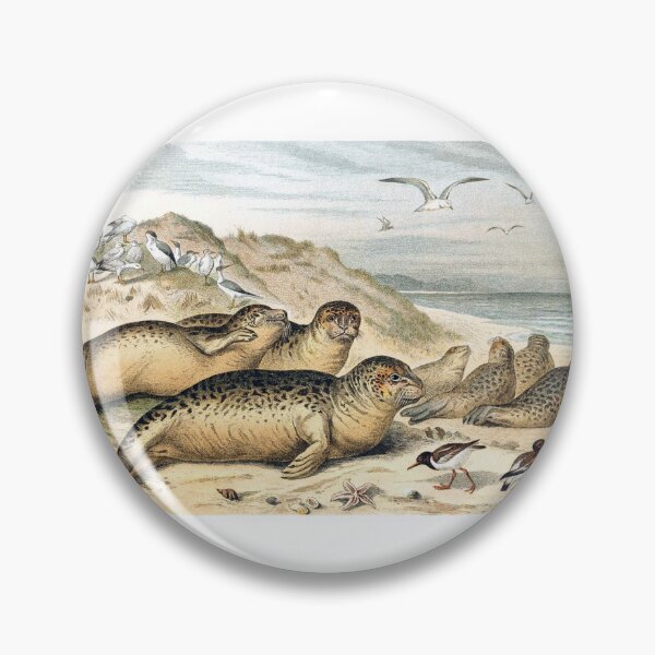 Item preview, Harbor Seals on the Beach designed and sold by hec60504.