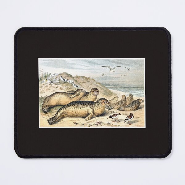 Item preview, Harbor Seals on the Beach designed and sold by hec60504.
