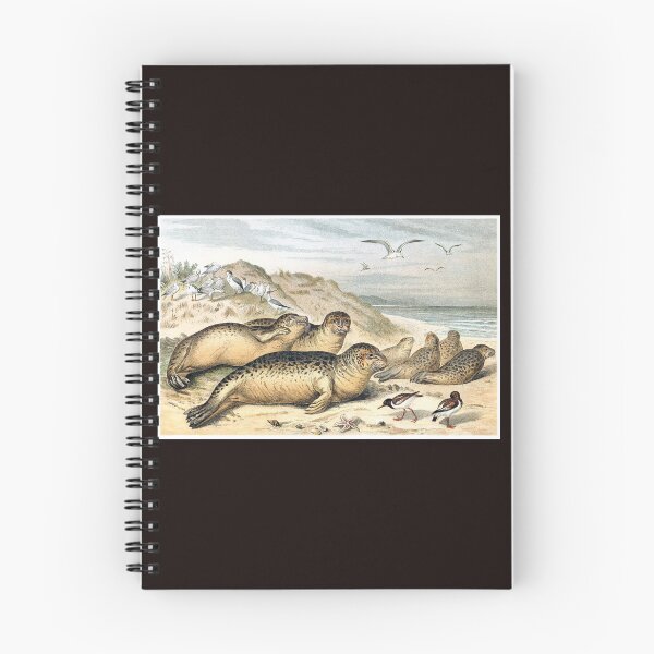 Item preview, Harbor Seals on the Beach designed and sold by hec60504.