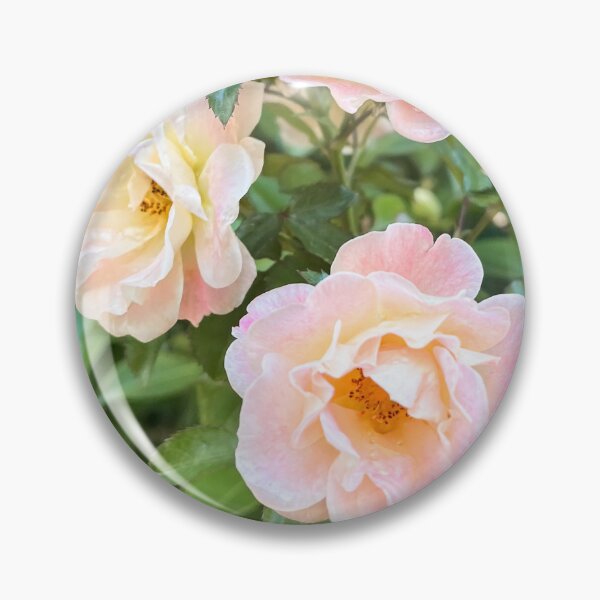 Aperçu de l'œuvre Photographie romantique de roses rose poudré dans un jardin de cottage créée et vendue par Be Captured by Brittany Emma.