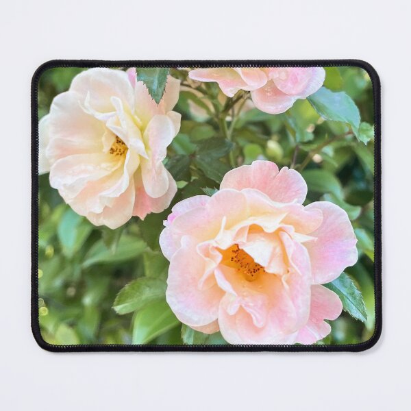 Item preview, Soft Blush Pink Roses Romantic Cottage Garden Photography designed and sold by Be Captured by Brittany Emma.