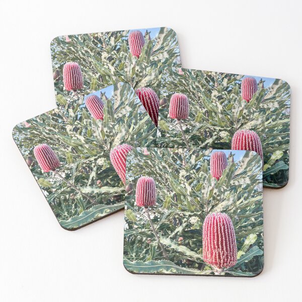Item preview, Pink Banksia Australian Native Flower Botanical Photography designed and sold by Be Captured by Brittany Emma.