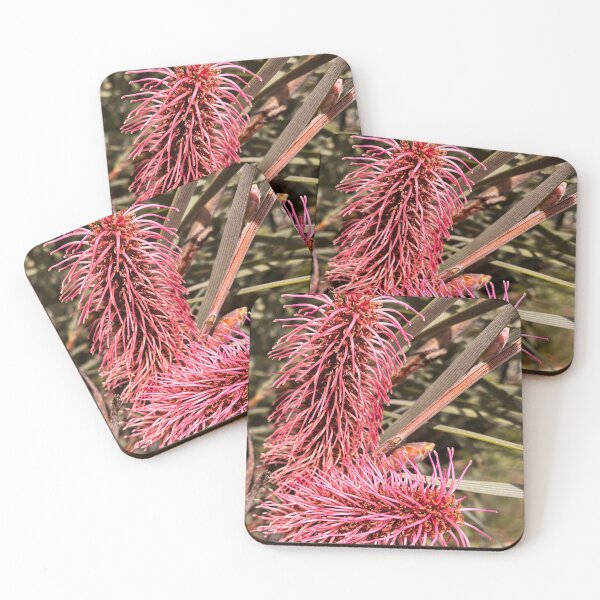 Item preview, Pink Poker Grevillea Australian Native Flower Botanical Photography designed and sold by Be Captured by Brittany Emma.