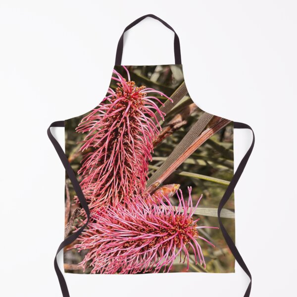 Item preview, Pink Poker Grevillea Australian Native Flower Botanical Photography designed and sold by Be Captured by Brittany Emma.