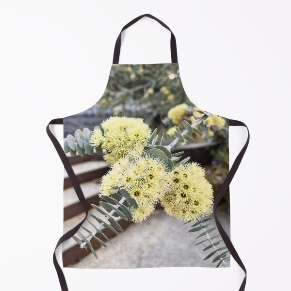 Item preview, Book-Leaf Mallee Eucalyptus Silver Blue Australian Native Plant designed and sold by Be Captured by Brittany Emma.