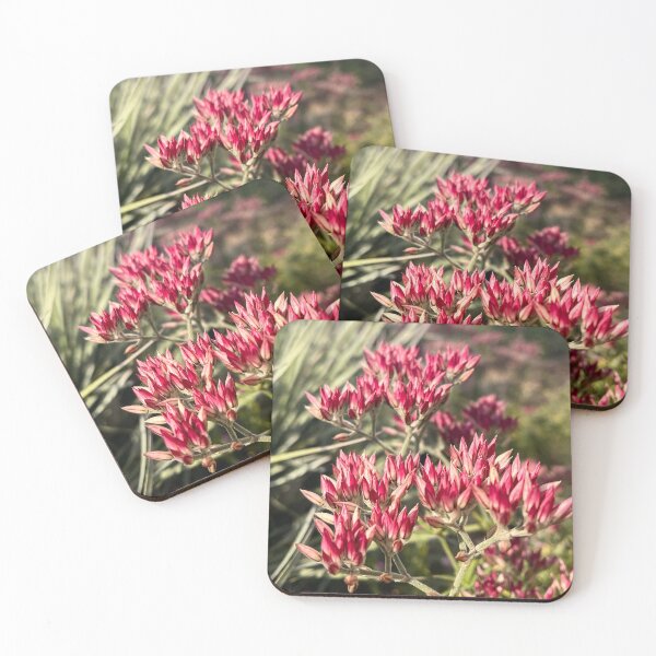 Item preview, Polycarpaea longiflora Australian Wildflower Botanical Macro designed and sold by Be Captured by Brittany Emma.