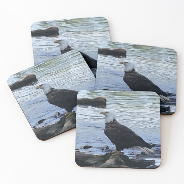 Item preview, American Bald Eagle designed and sold by Jens01SS.