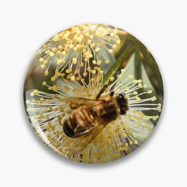 Item preview, Round-Leaved Mallee Eucalyptus with Bee Australian Native Flower designed and sold by Be Captured by Brittany Emma.