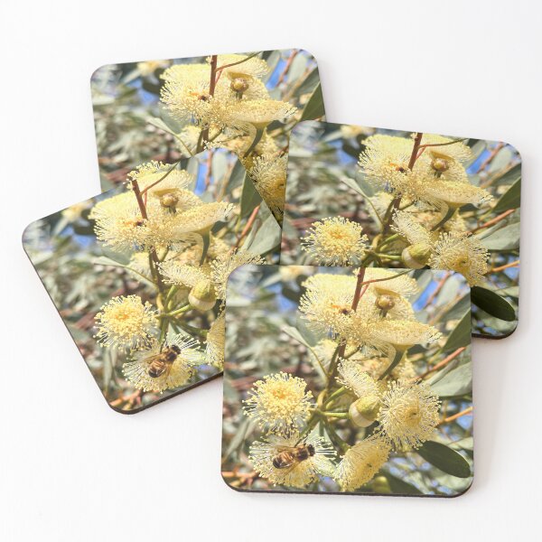 Item preview, Round-Leaved Mallee Eucalyptus with Bee Australian Native Flower designed and sold by Be Captured by Brittany Emma.