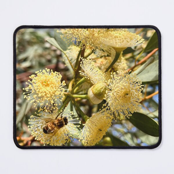 Item preview, Round-Leaved Mallee Eucalyptus with Bee Australian Native Flower designed and sold by Be Captured by Brittany Emma.