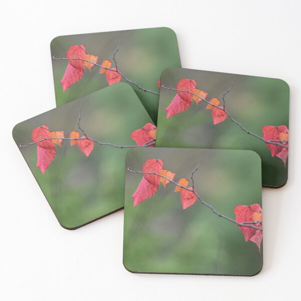 Item preview, Early Autumn Colours designed and sold by photosbymia.