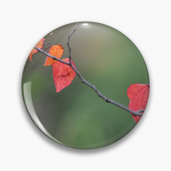 Item preview, Early Autumn Colours designed and sold by photosbymia.