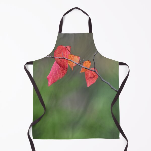 Item preview, Early Autumn Colours designed and sold by photosbymia.