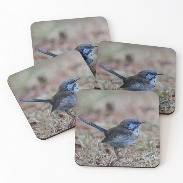 Item preview, Little Blue Fairy Wren designed and sold by photosbymia.