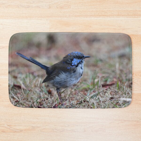 Item preview, Little Blue Fairy Wren designed and sold by photosbymia.