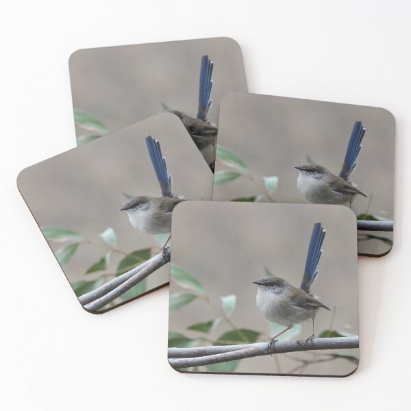 Item preview, Blue Tailed Wren designed and sold by photosbymia.