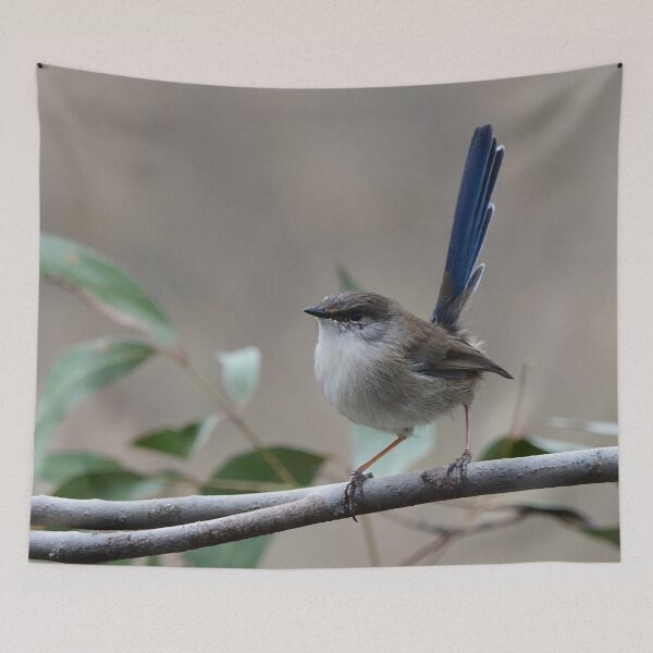 Item preview, Blue Tailed Wren designed and sold by photosbymia.