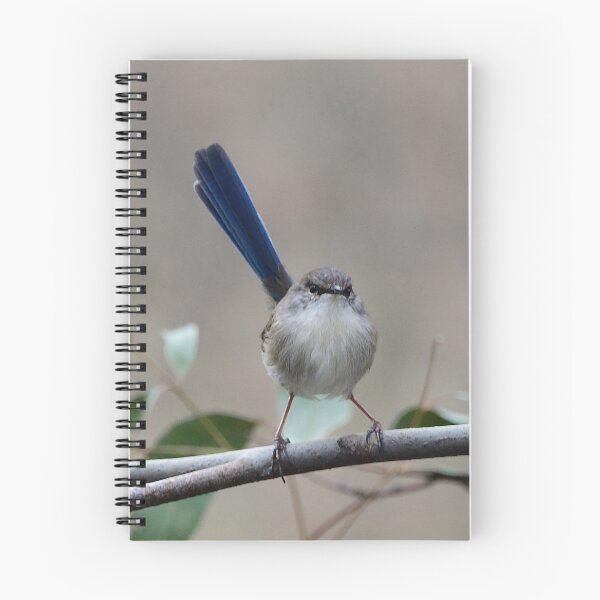 Item preview, Grumpy Wren designed and sold by photosbymia.