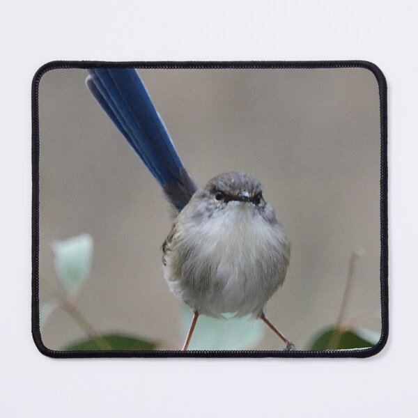 Item preview, Grumpy Wren designed and sold by photosbymia.