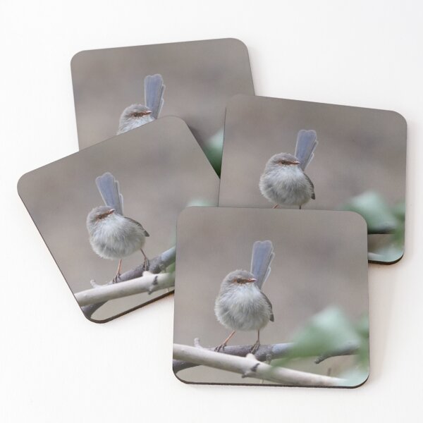 Item preview, Little Lady Wren designed and sold by photosbymia.