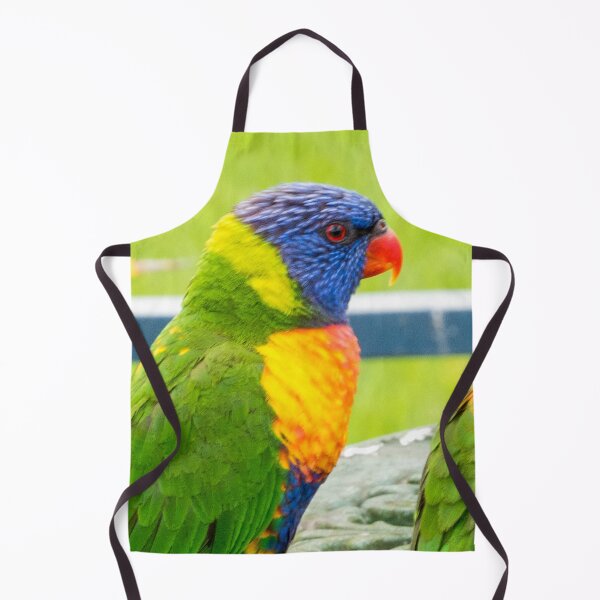 Item preview, A Pair of Rainbow Lorikeets | Vibrant Native Australian Parrots Wildlife Bird Art designed and sold by Ross.A.Campbell.