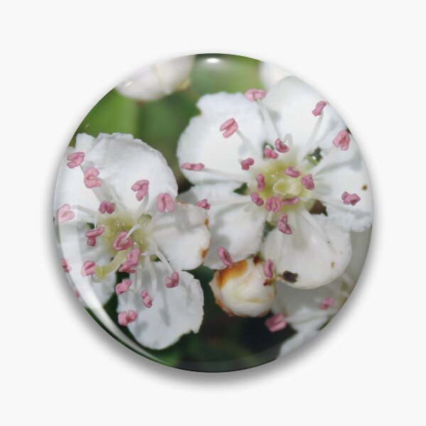 Item preview, blossom designed and sold by KathleenDawson.